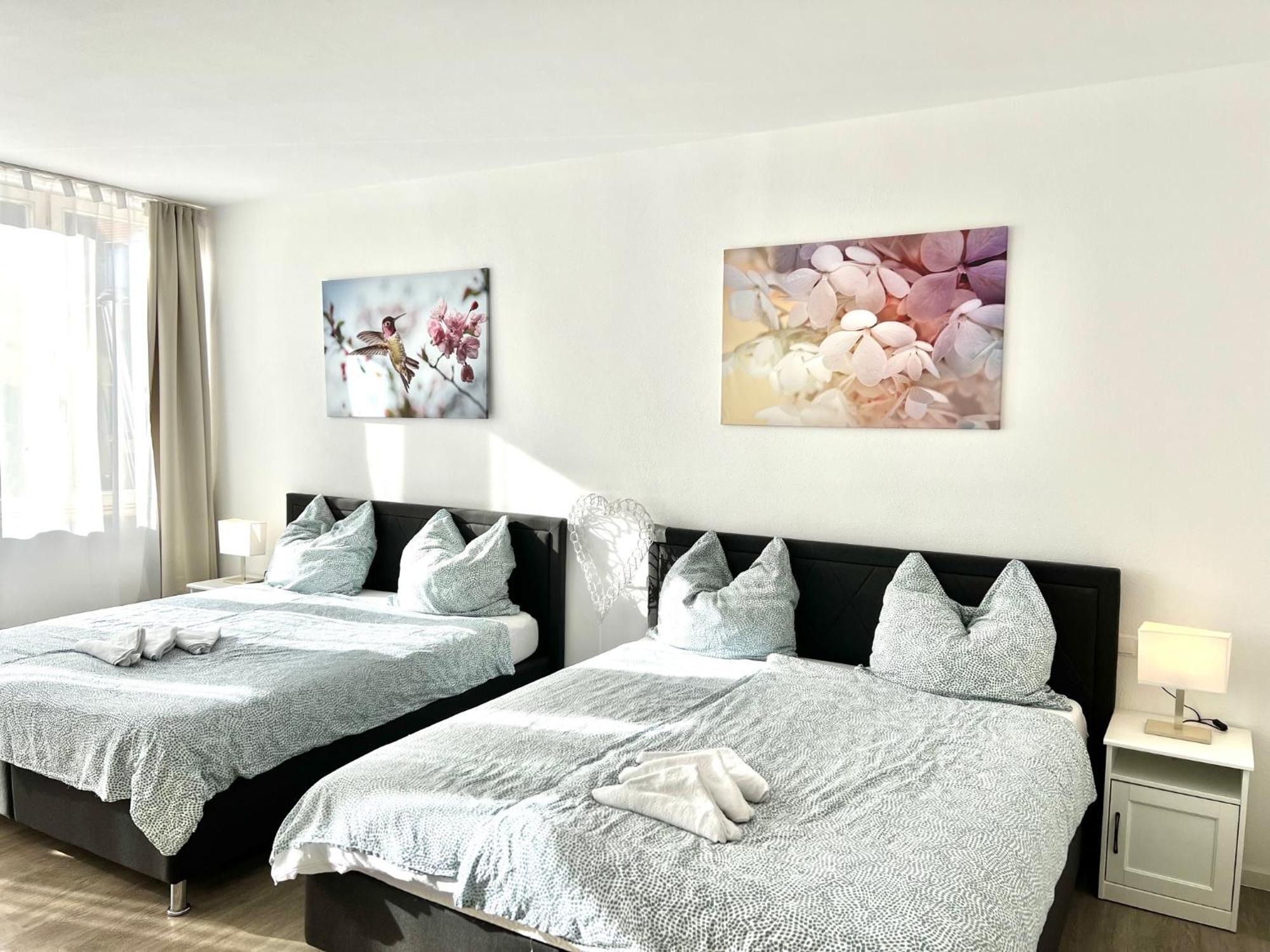 City Appartement Kueche,Bad, Parken Im Zentrum Von ראפנסבורג מראה חיצוני תמונה